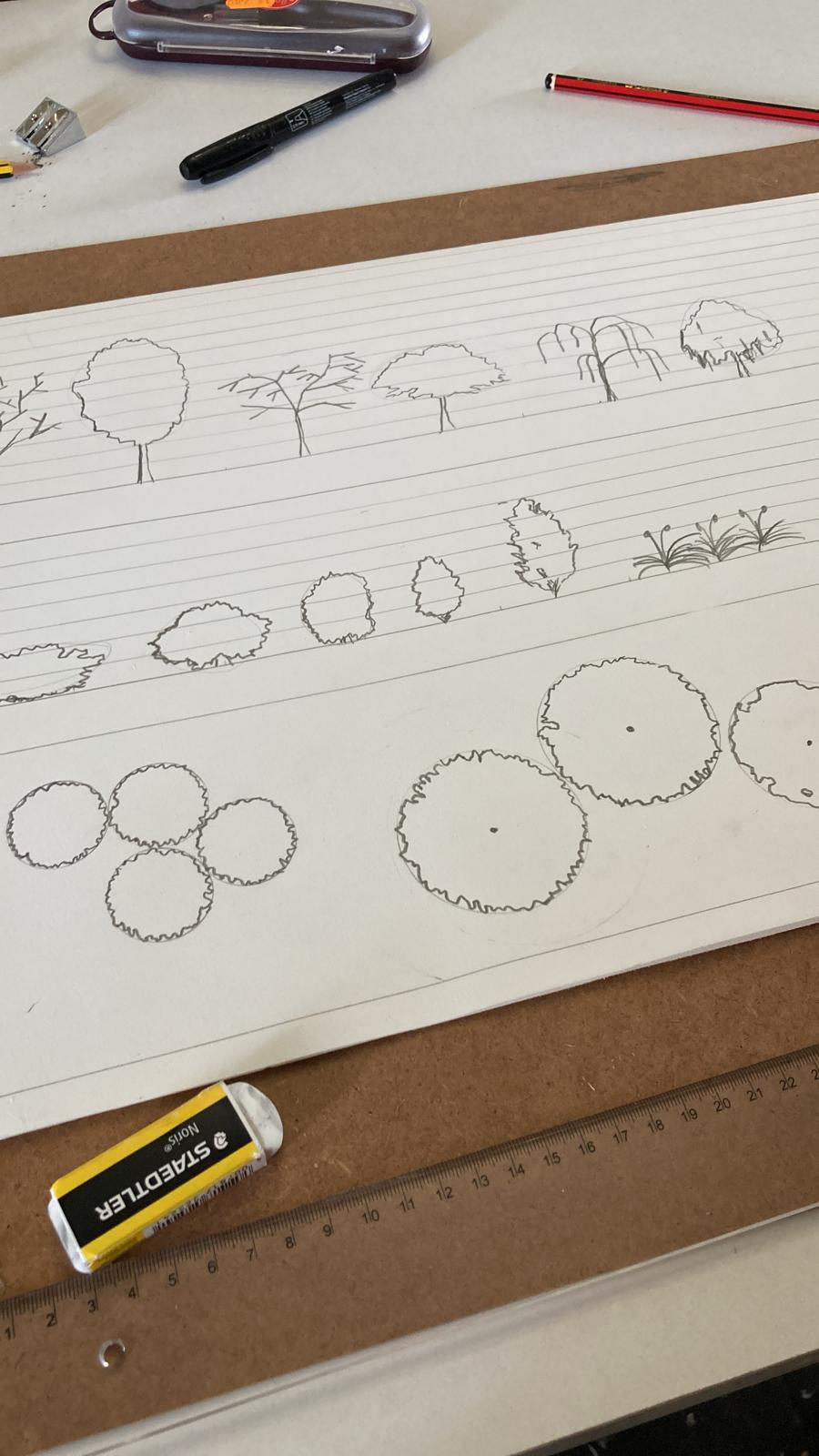 Bocetos de diferentes tipos de plantas y árboles en un cuaderno, junto a herramientas de dibujo.