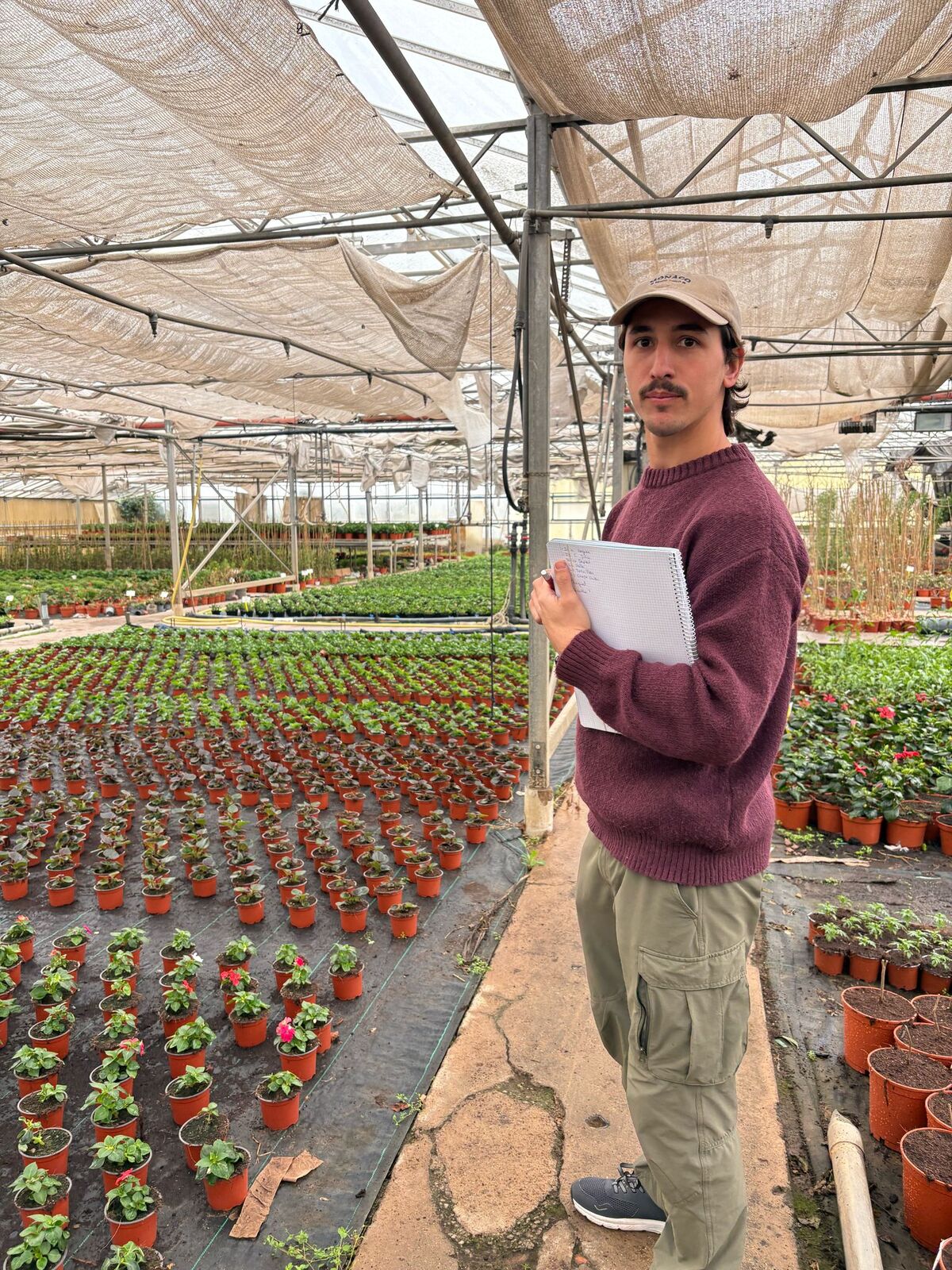 Hombre sosteniendo un cuaderno mientras supervisa filas de plantas en macetas dentro de un invernadero.