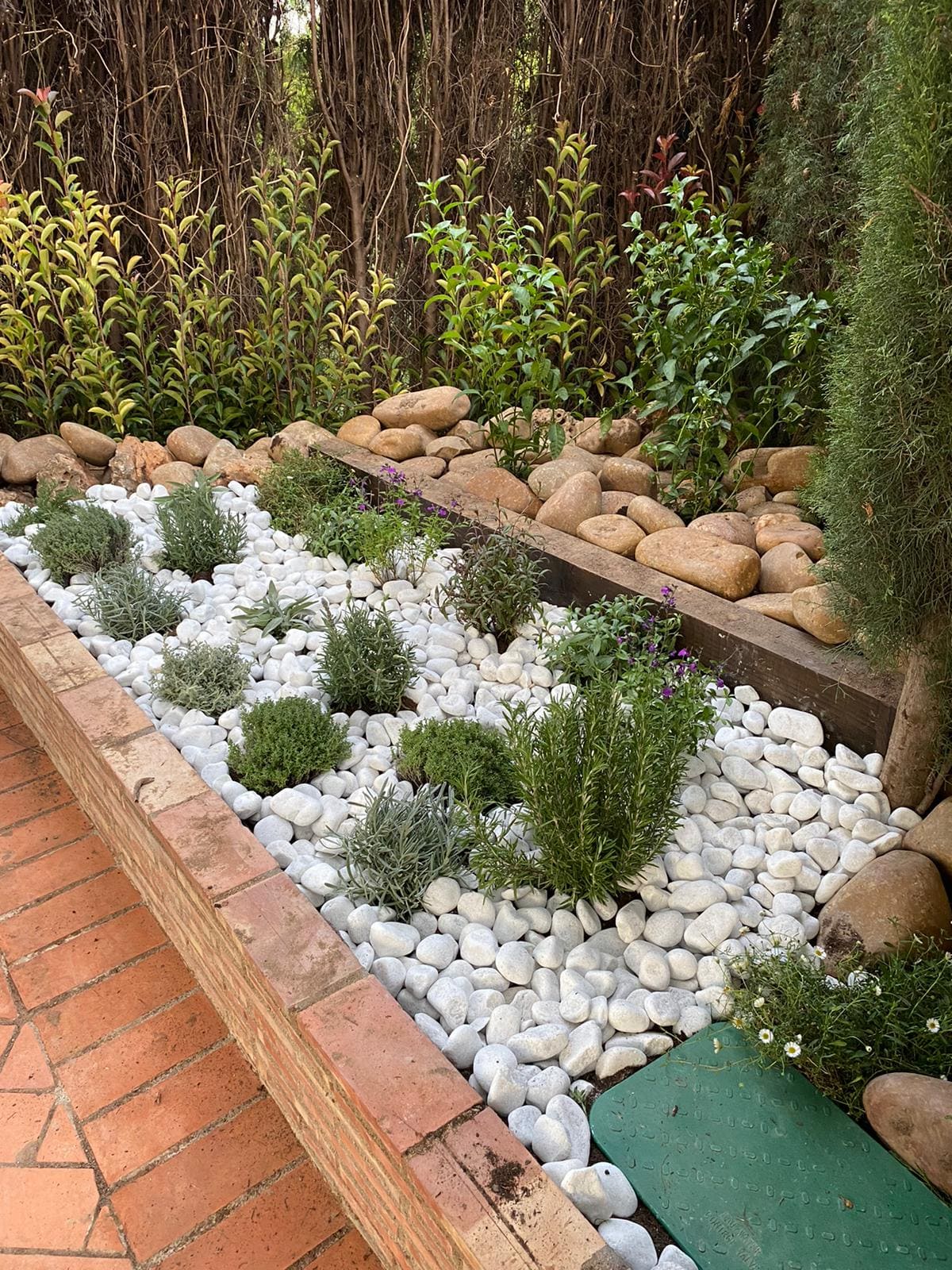 Cama de plantas con hierbas aromáticas en un jardín decorado con piedras blancas y bordeado por un muro de ladrillo.