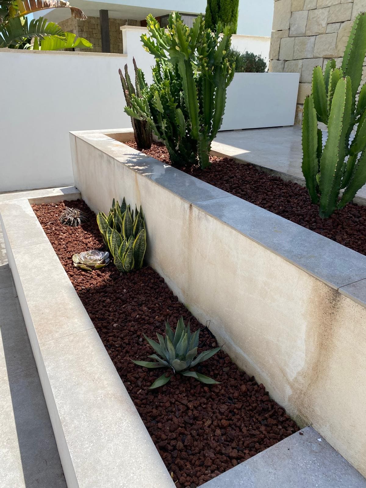 Jardín exterior con suculentas y cactus en macetas elevadas con grava volcánica, diseñado por expertos en paisajismo y jardinería.