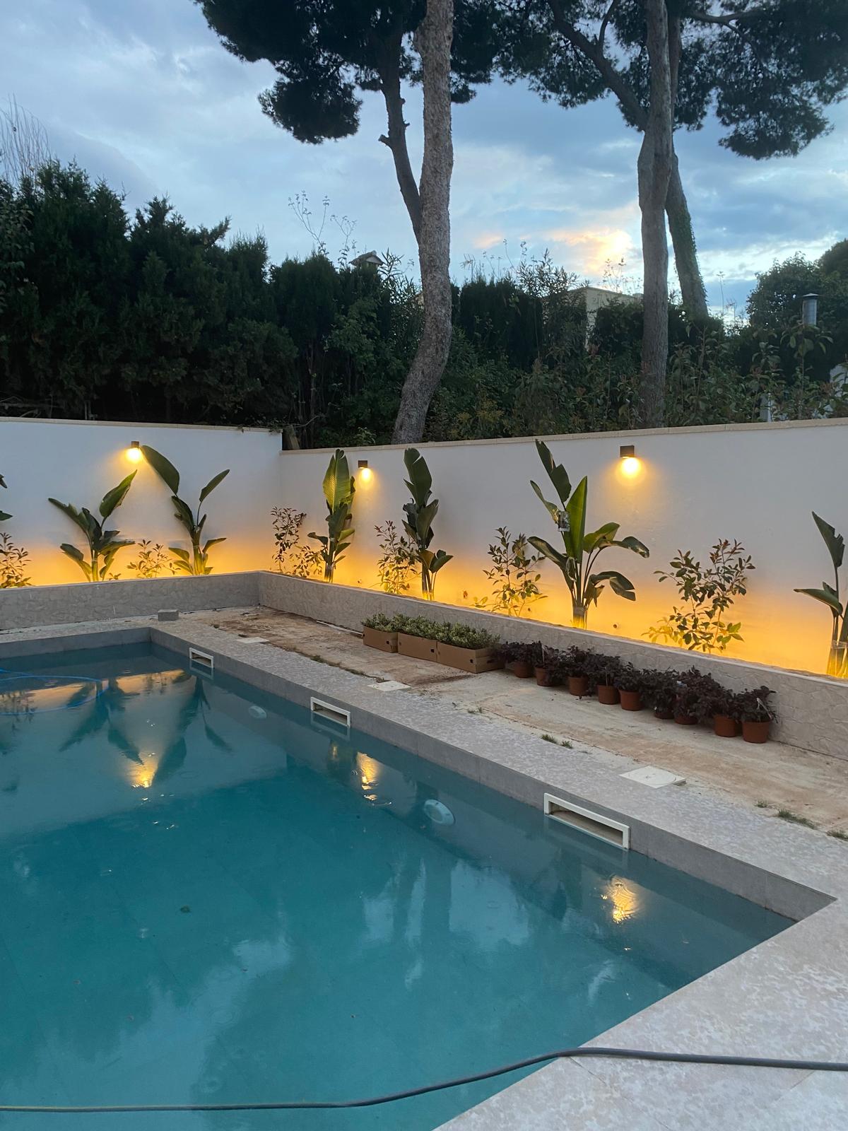 Piscina al aire libre rodeada de plantas tropicales iluminadas por luces cálidas en la pared