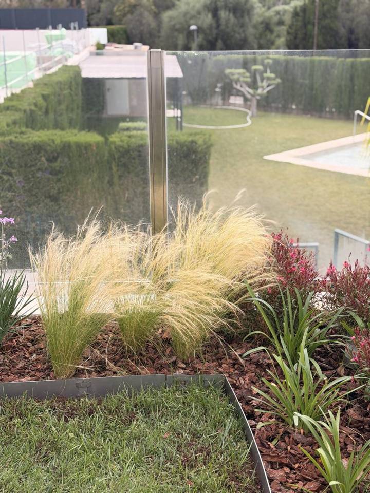 Jardín mediterráneo con Stipa tenuissima y gaura junto a la barandilla de cristal