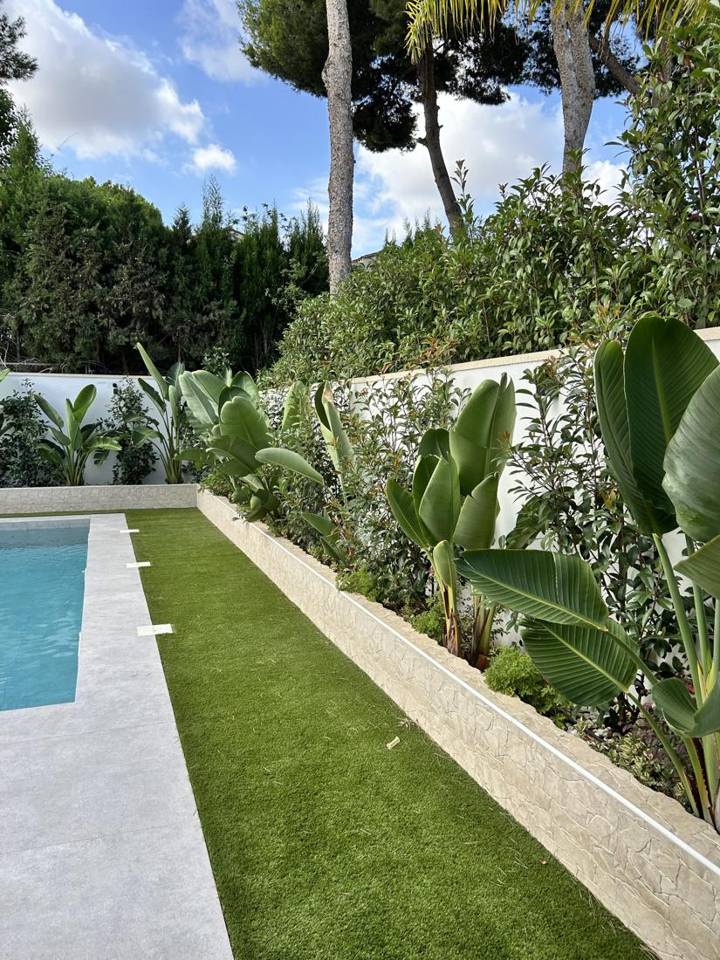 Jardín junto a piscina con strelitzias, photinias y césped artificial